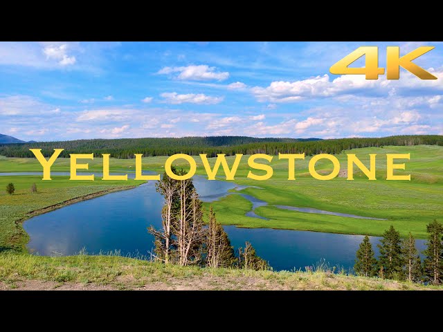 Yellowstone 2014 - Extended Cut - Remastered in 4K 60 FPS