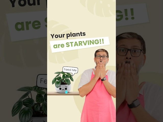 How to save your plants from starving #shorts