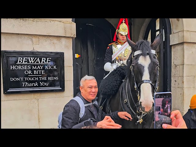 DISRESPECTFUL IDIOT TOURIST HOLDS THE REINS and grins like it's his horse at Horse Guards!