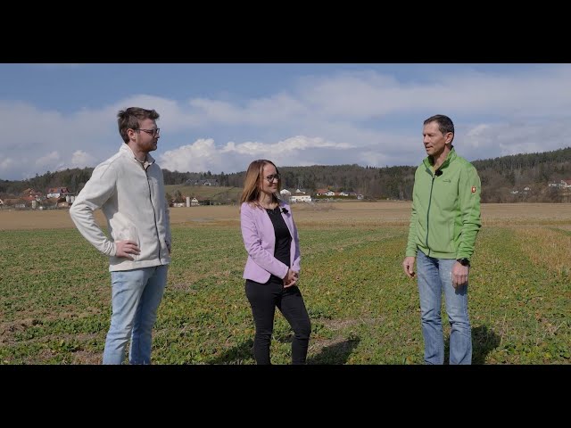 Voll Energie im Steirischen Vulkanland: Begrünungsvarianten nach Sojabohne