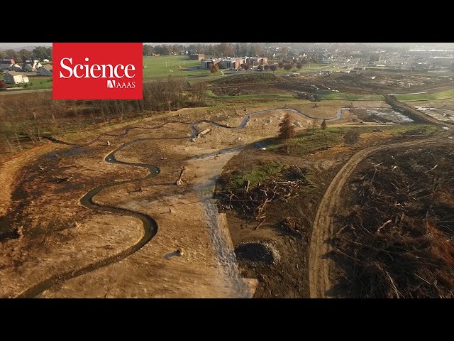 How transforming river banks can clean contaminated waterways
