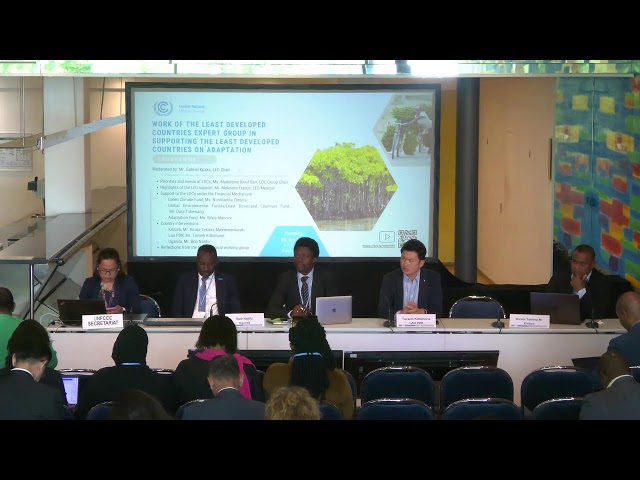Work of the LEG in supporting the LDCs on adaptation