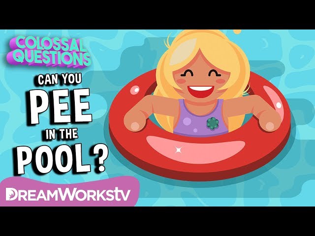 Should You Pee in the Pool? | COLOSSAL QUESTIONS