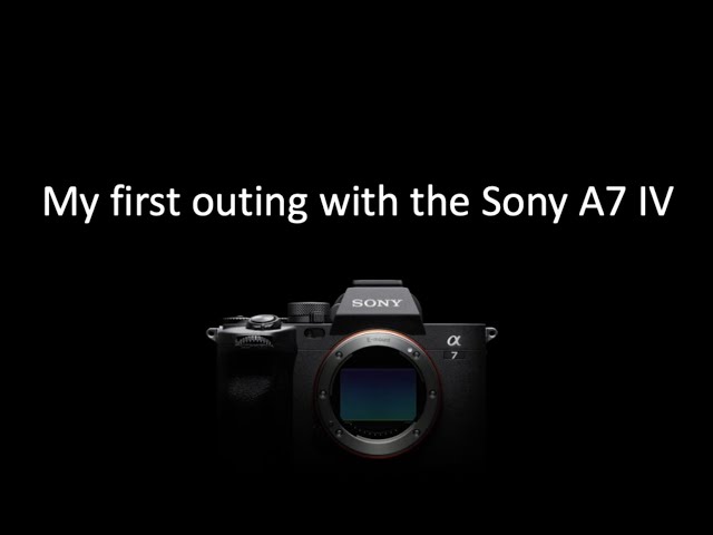 First Photo Shoot Using The Sony A7 IV Real World Test