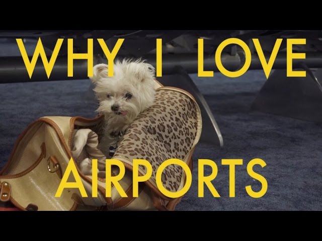 Why I Love Airports
