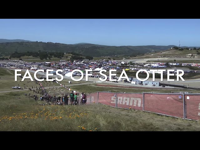 The Faces of Sea Otter