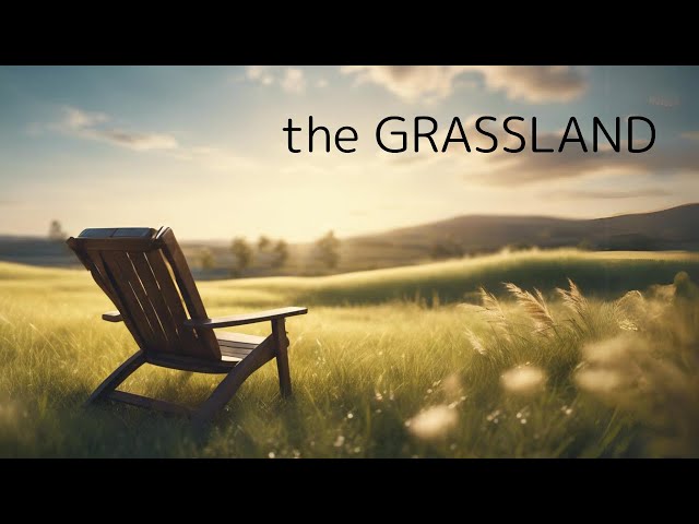 the GRASSLAND - FUTURE GARAGE Mix - for Relax, Work, Study