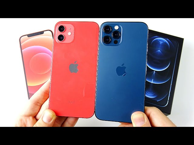 Should you buy iPhone 12 or iPhone 12 Pro?