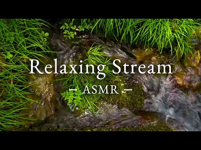 Unwind and Relax with 3 hrs of Water Sounds