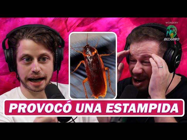 Bizarro: Cucaracha empieza estampida