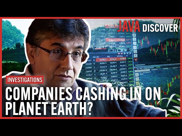 'Nature Credits': How Companies are Profiting off 'Protecting' Planet Earth | Documentary