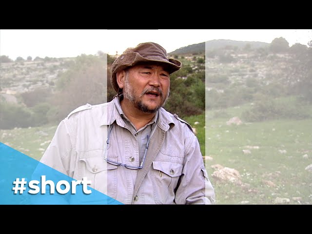 Regreening the Desert | VPRO Documentary #short