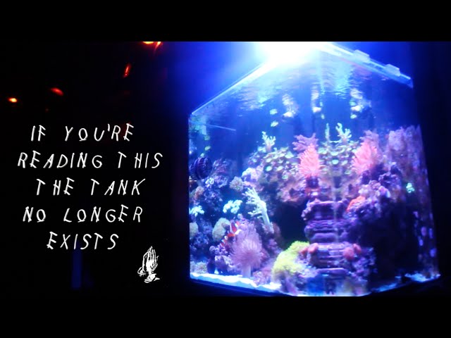 30 Gallon Nano Reef - Brilliant Aquarium - TAKEN DOWN!