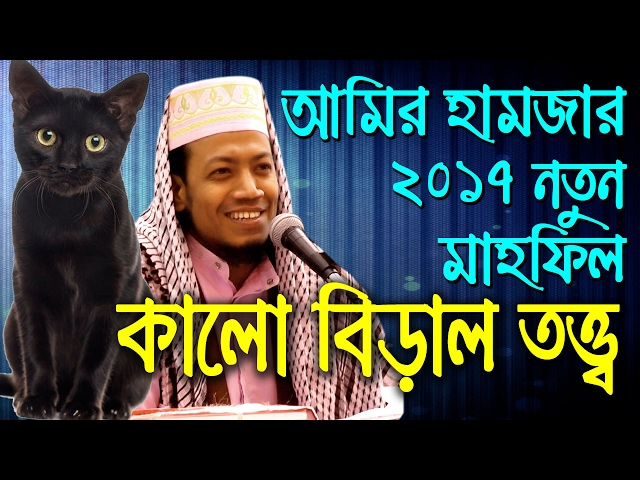 কালো বিড়াল তত্ত্ব ! আমির হামজা নতুন ওয়াজ মাহফিল Bangla waz amir hamza waz 2020  waz tv