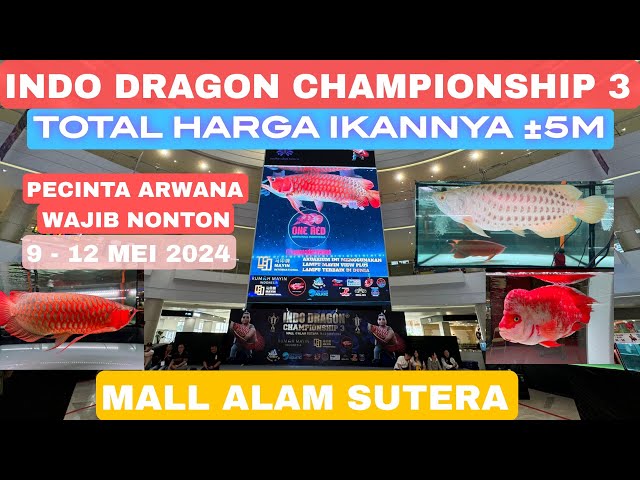 Kontes Ikan Arwana total Harga Ikan sampai ±5 MILIAR | Indo Dragon Championship 3 Mall Alam Sutera