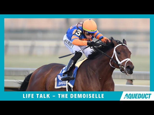 Life Talk - 2023 - The Demoiselle