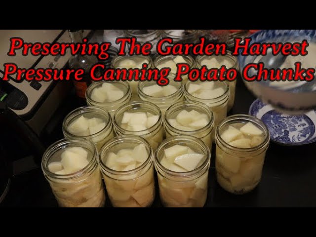 Preserving The Garden Harvest - Raw Pack Pressure Canning Potato Chunks
