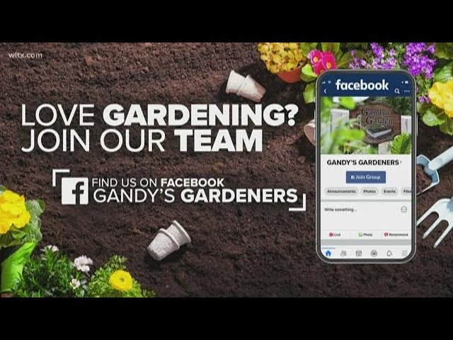 It's Earth Day | What is Gandy's Garden at WLTX?