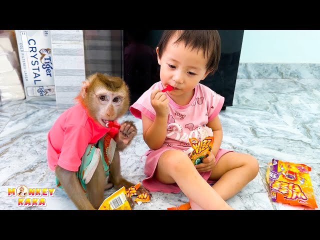 SO FUNNY: Diem and Monkey Kaka look for food in the refrigerator