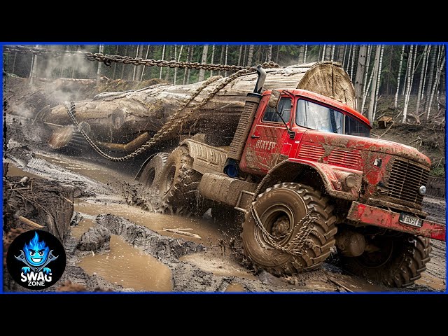 155 Extreme DANGEROUS Huge Wood Logging Truck | Best Of The Week
