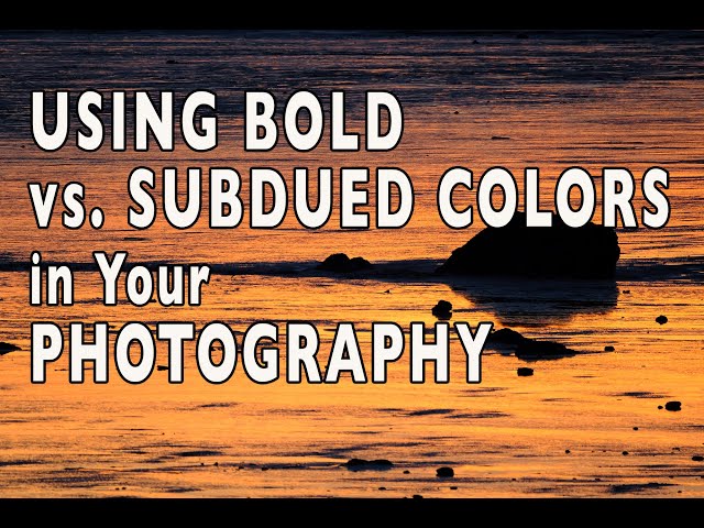 Using Bold vs Subdued Colors in Your Photography