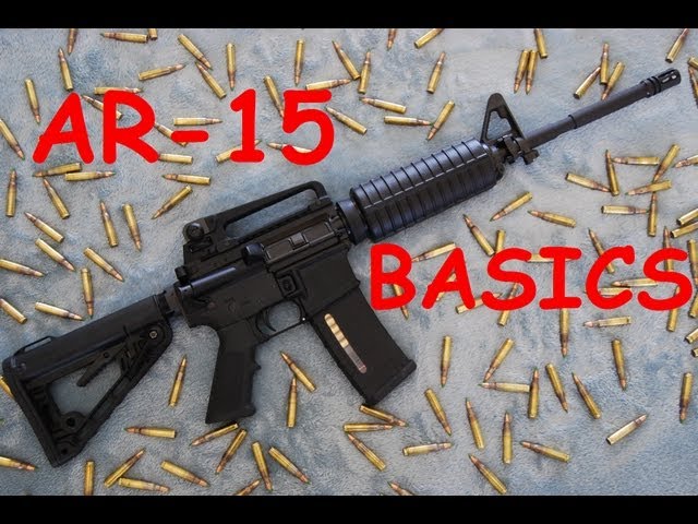 AR-15 Basics: Controls, Function, Disassembly, & Reassembly.