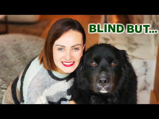 I went blind BUT… do these 9 things make up for it?