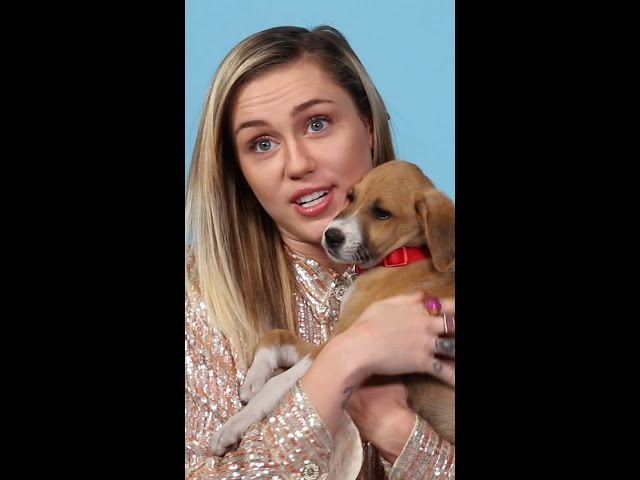 Note bring puppies for every Miley Cyrus interview ✍🏼 #MileyCyrus #puppies