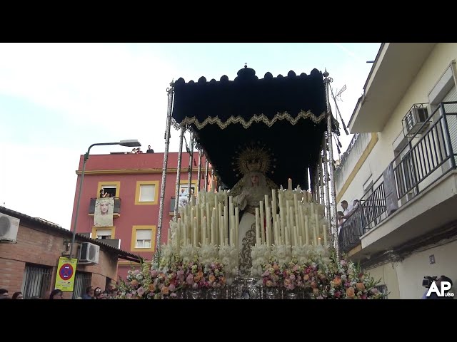 Palio Nuestra Señora del Dulce Nombre de Bellavista | Semana Santa Sevilla 2023