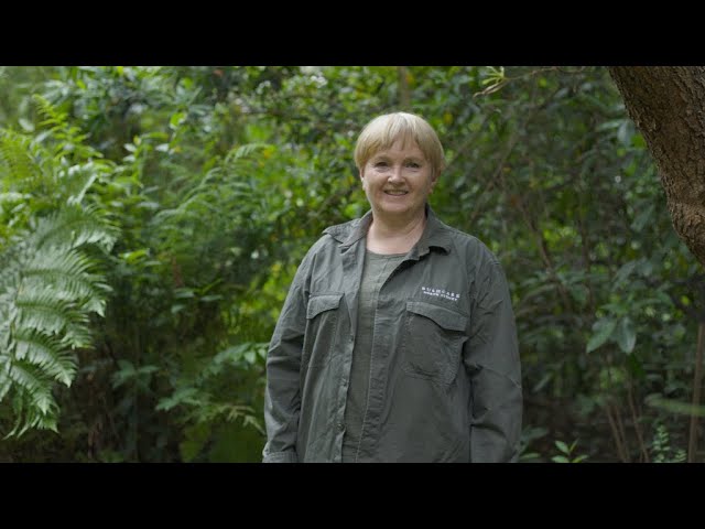 Bushcare celebrates 30 years - Mary Lyn