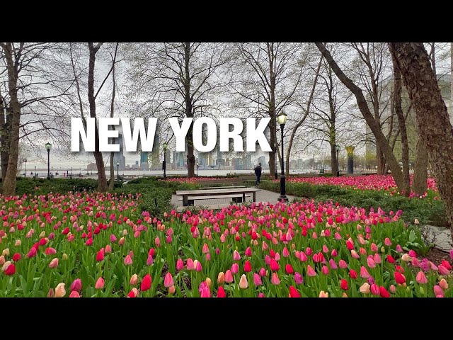 New York City LIVE Manhattan on Thursday (April 18, 2024)