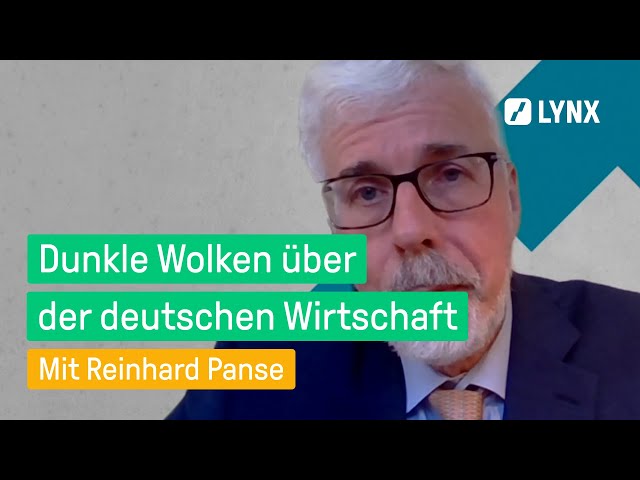 Konjunktur-Krise: Warum Deutschland so schwächelt  - Interview mit Reinhard Panse | LYNX fragt nach