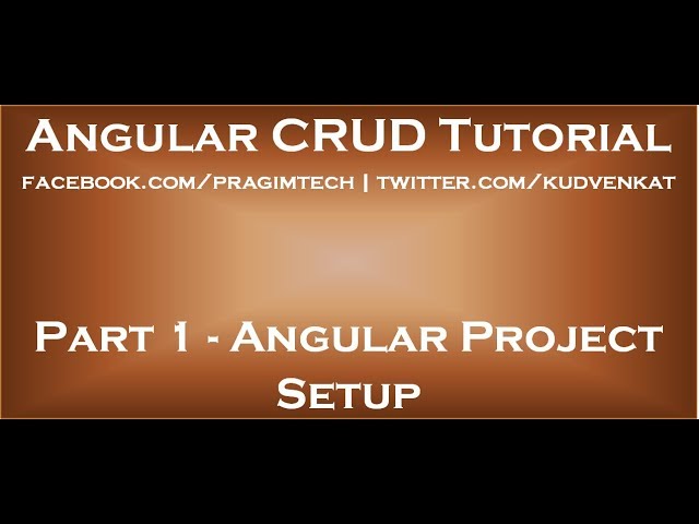 Angular project setup