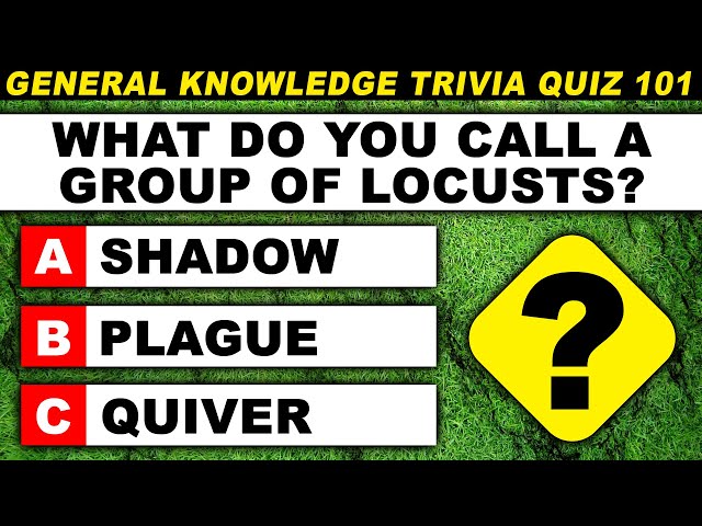 How Good Is Your Basic Knowledge? Ultimate General Knowledge Trivia Quiz Episode 101