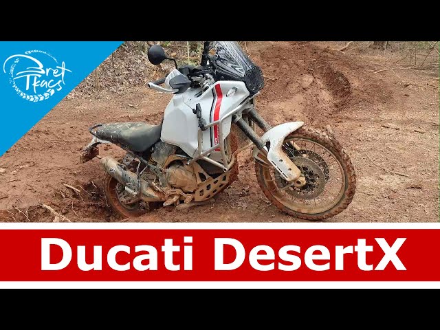 Ducati DesertX 2023 best review