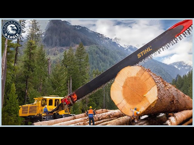 199 Incredible Fastest Big Chainsaw Cutting Tree Machines ▶11