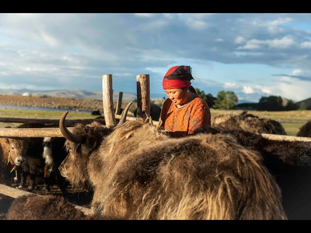 Holistic Planned Grazing & EOV in Mongolia: PLUS Project 2022 Recap