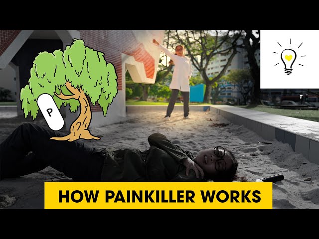 How Painkillers "kill this pain"? | MJ Explains