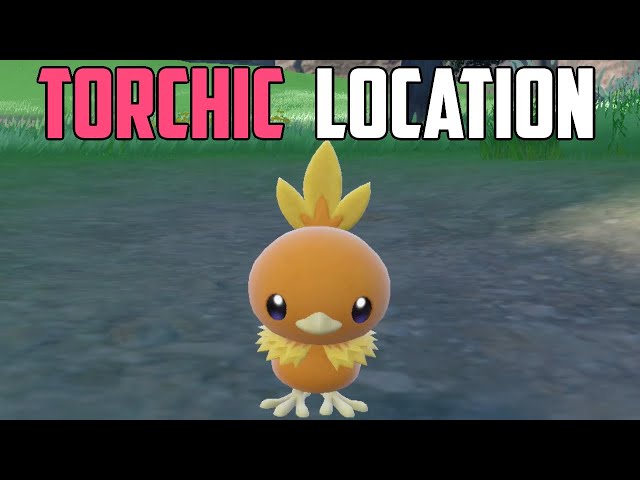 How to Catch Torchic - Pokémon Scarlet & Violet (DLC)