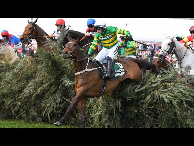 2024 Grand National fence by fences analysis