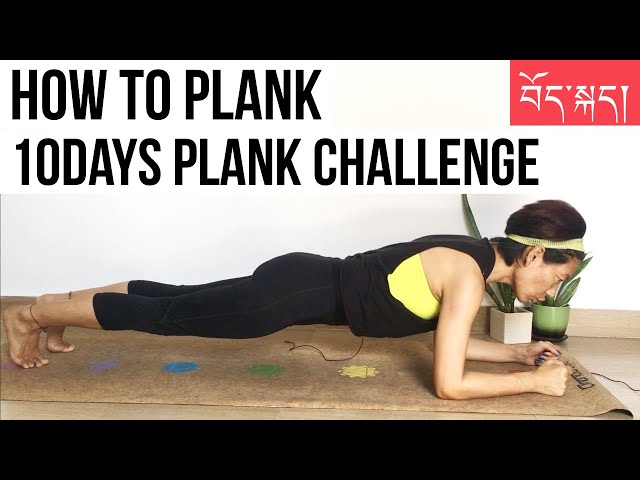How to plank | 10Days Plank challenge | ENG SUB