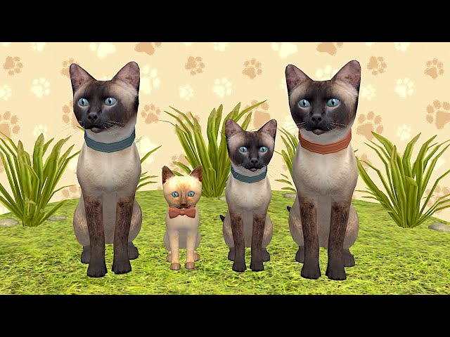 Little Kitten Preschool Adventure Educational Games - Play Fun Cute Kitten Pet Care Simulator #9