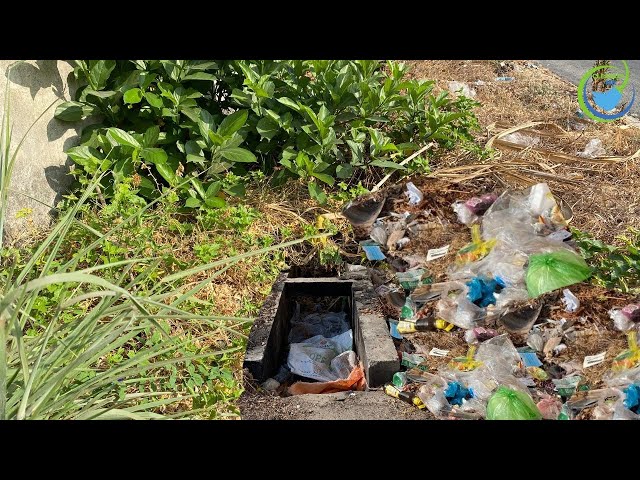 SHOCKING! TRASH is scattered everywhere around the drain, and thick grass grows