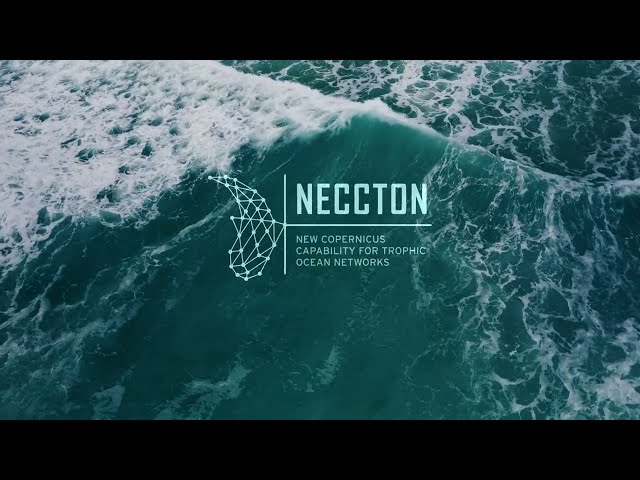 NECCTON Introduction