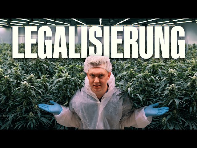 Warum die Cannabis Legalisierung noch scheitern kann!