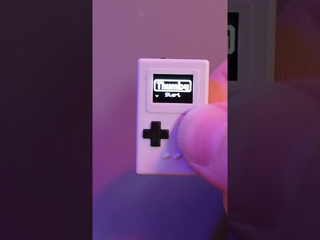 This Extremely Tiny Fake Gameboy Actually Plays Games