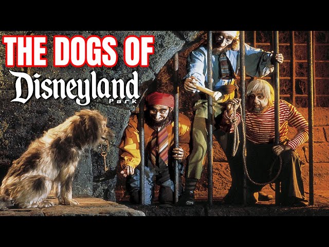 8 Dogs You Should See (or eat) At Disneyland