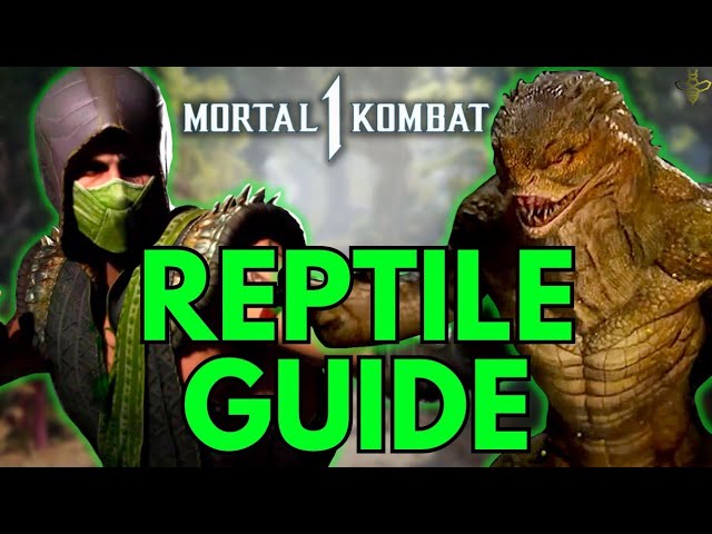 Reptile Character Tutorial and Combo Guide in Mortal Kombat 1!