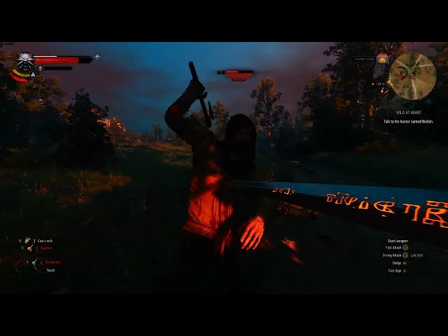 The Witcher 3 First Person Combat RTX 4090