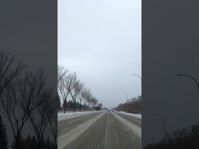 Winter, Edmonton, Alberta, Canada.